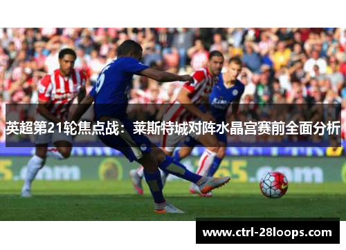 英超第21轮焦点战:莱斯特城对阵水晶宫赛前全面分析 英超第21轮焦点战:莱斯特城对阵水晶宫赛前全面分析