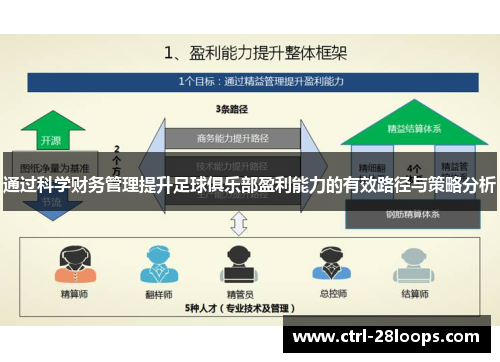 通过科学财务管理提升足球俱乐部盈利能力的有效路径与策略分析 通过科学财务管理提升足球俱乐部盈利能力的有效路径与策略分析